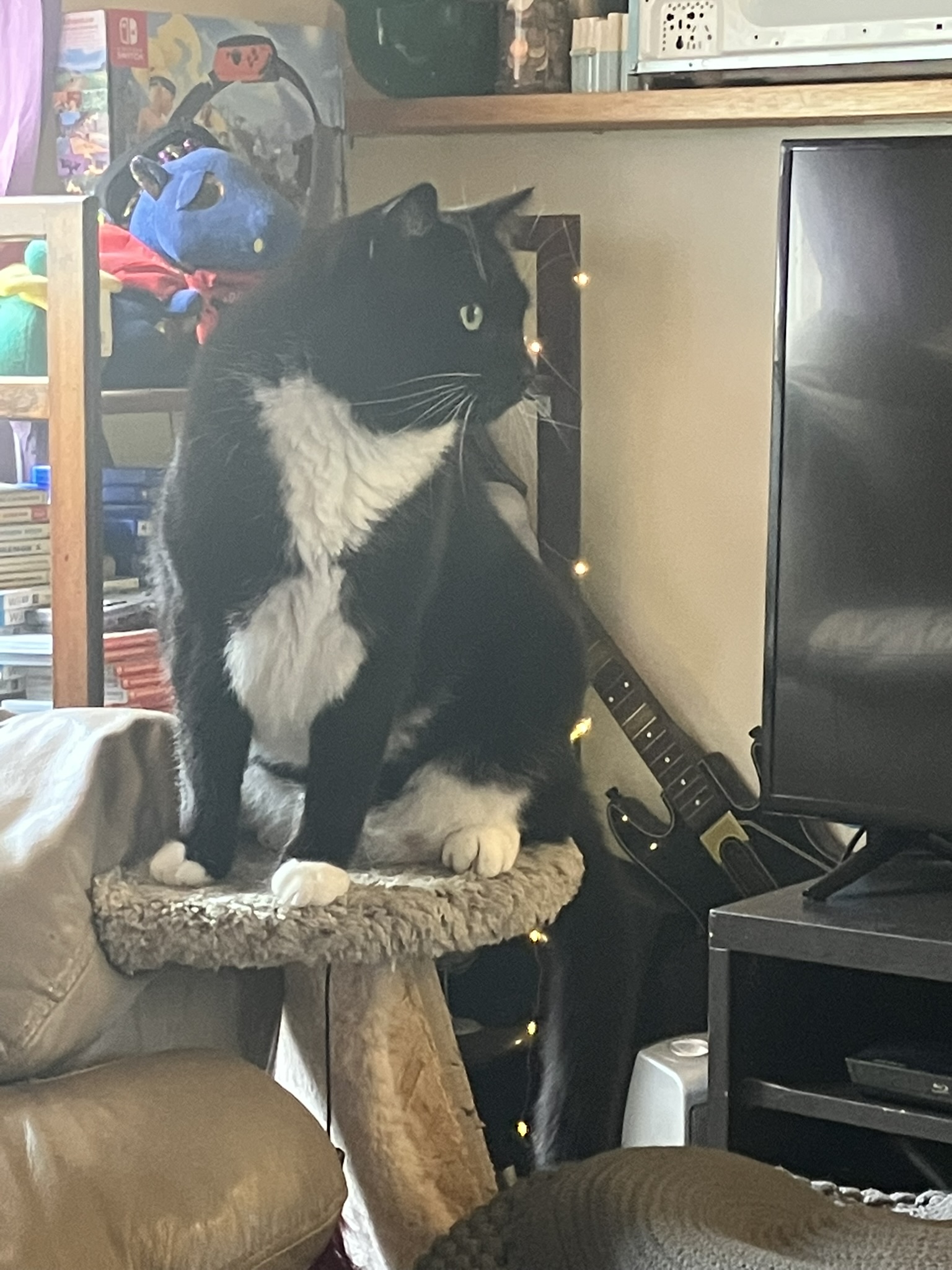 Wednesday, October 16