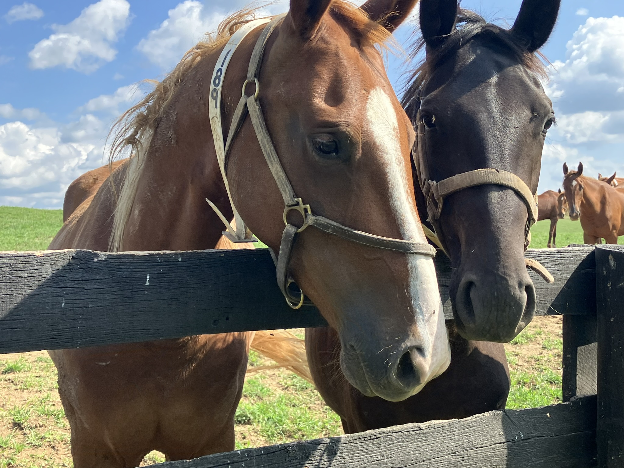 Saturday, August 3 2024