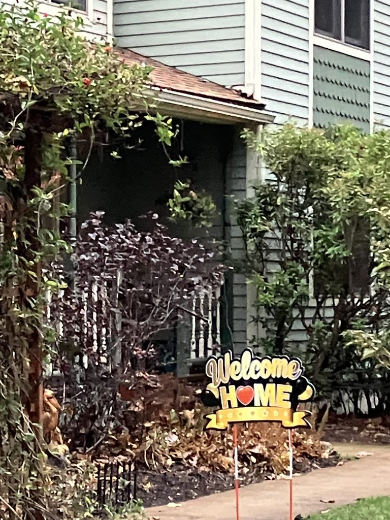 Monday November 4, 2024