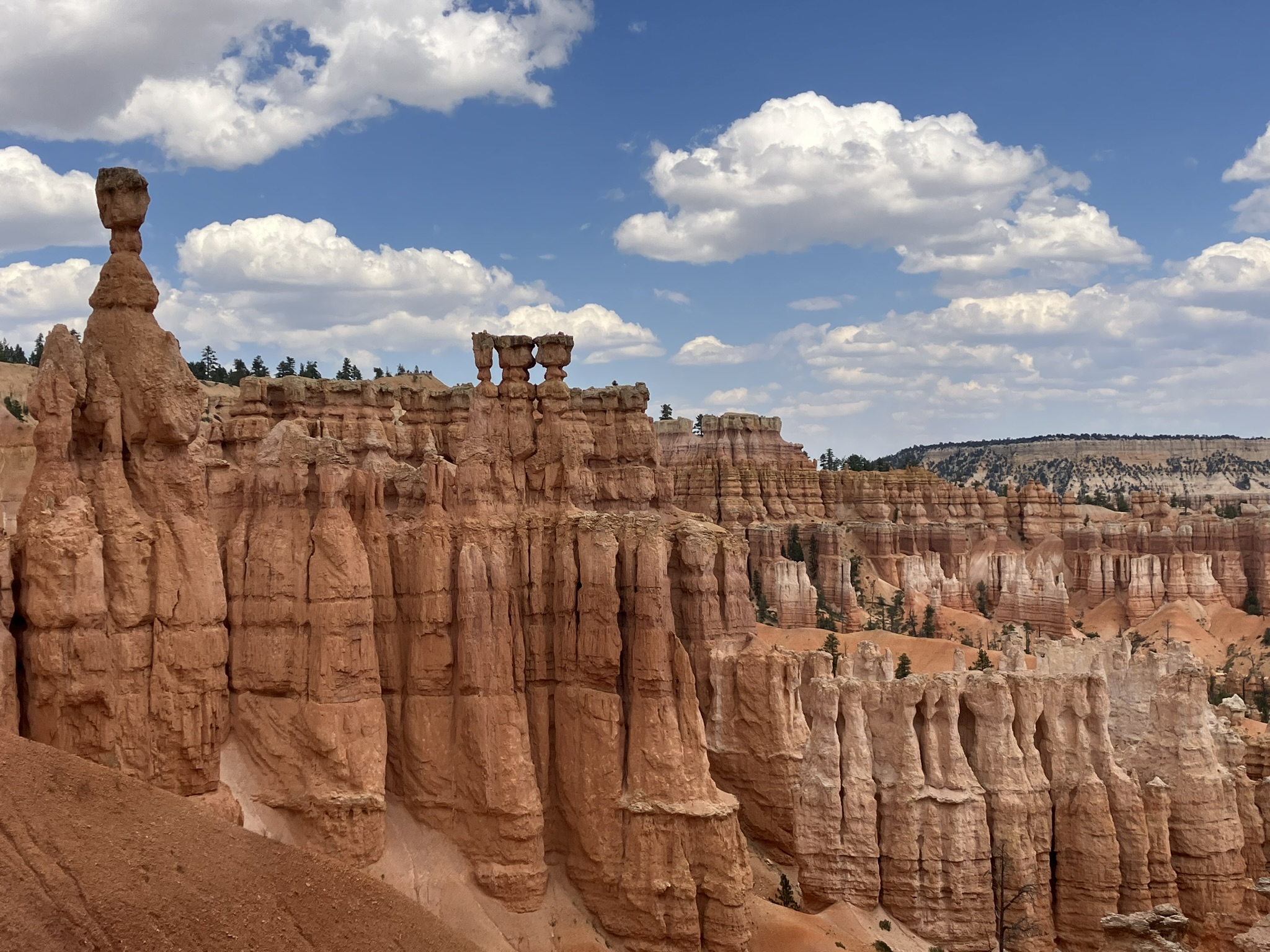 Saturday, September 7