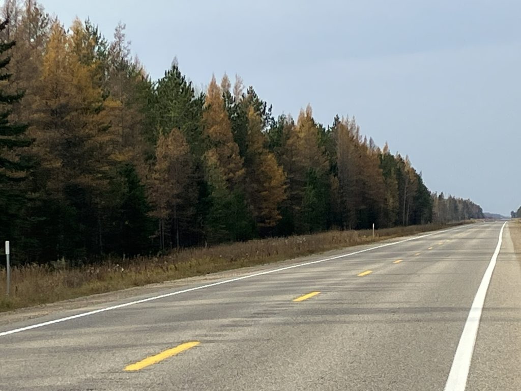 Wednesday, October 30 2024