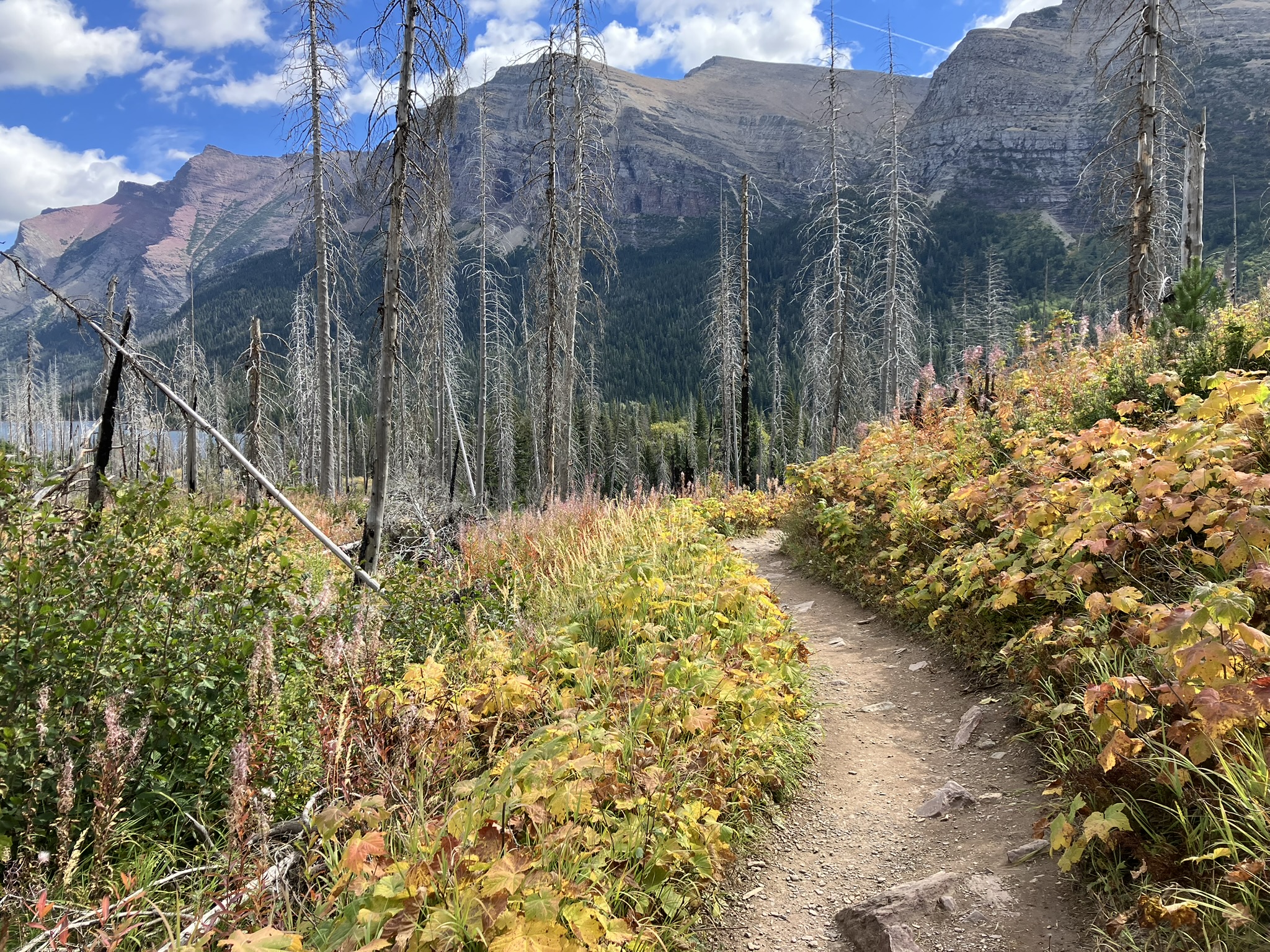 Monday, September 23