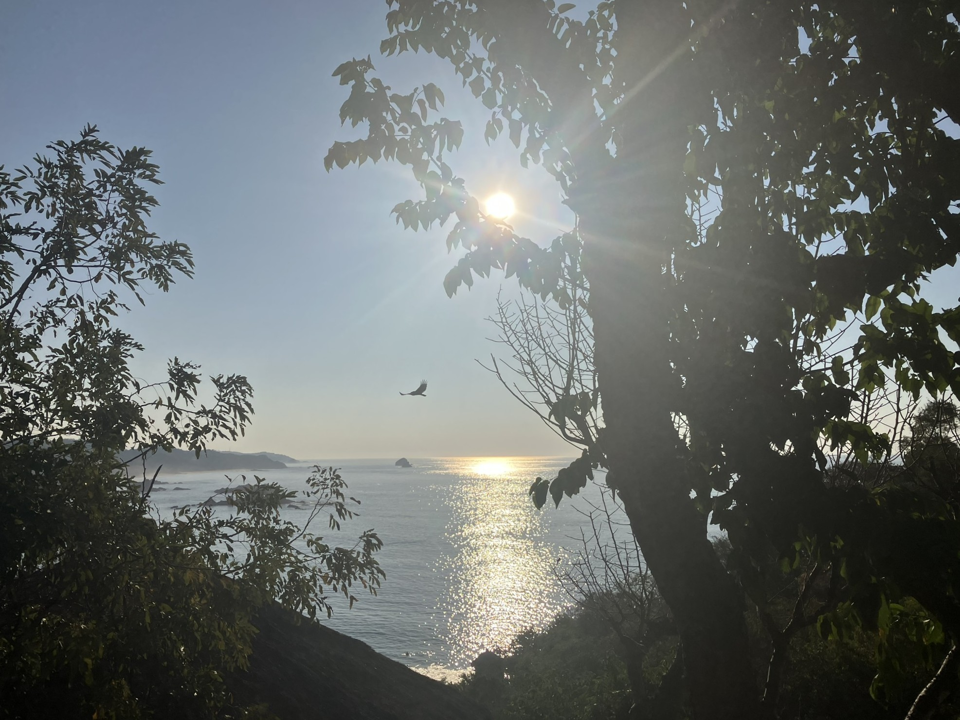 Monday February 10, 2025