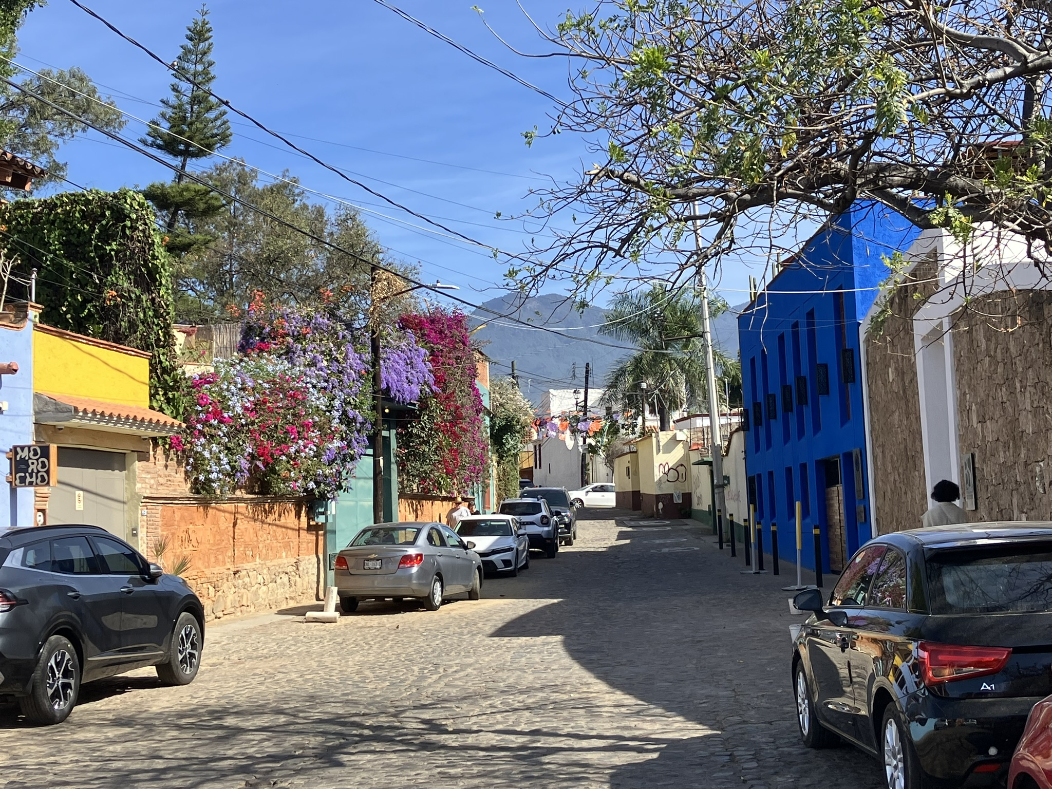 Saturday February 15, 2025 